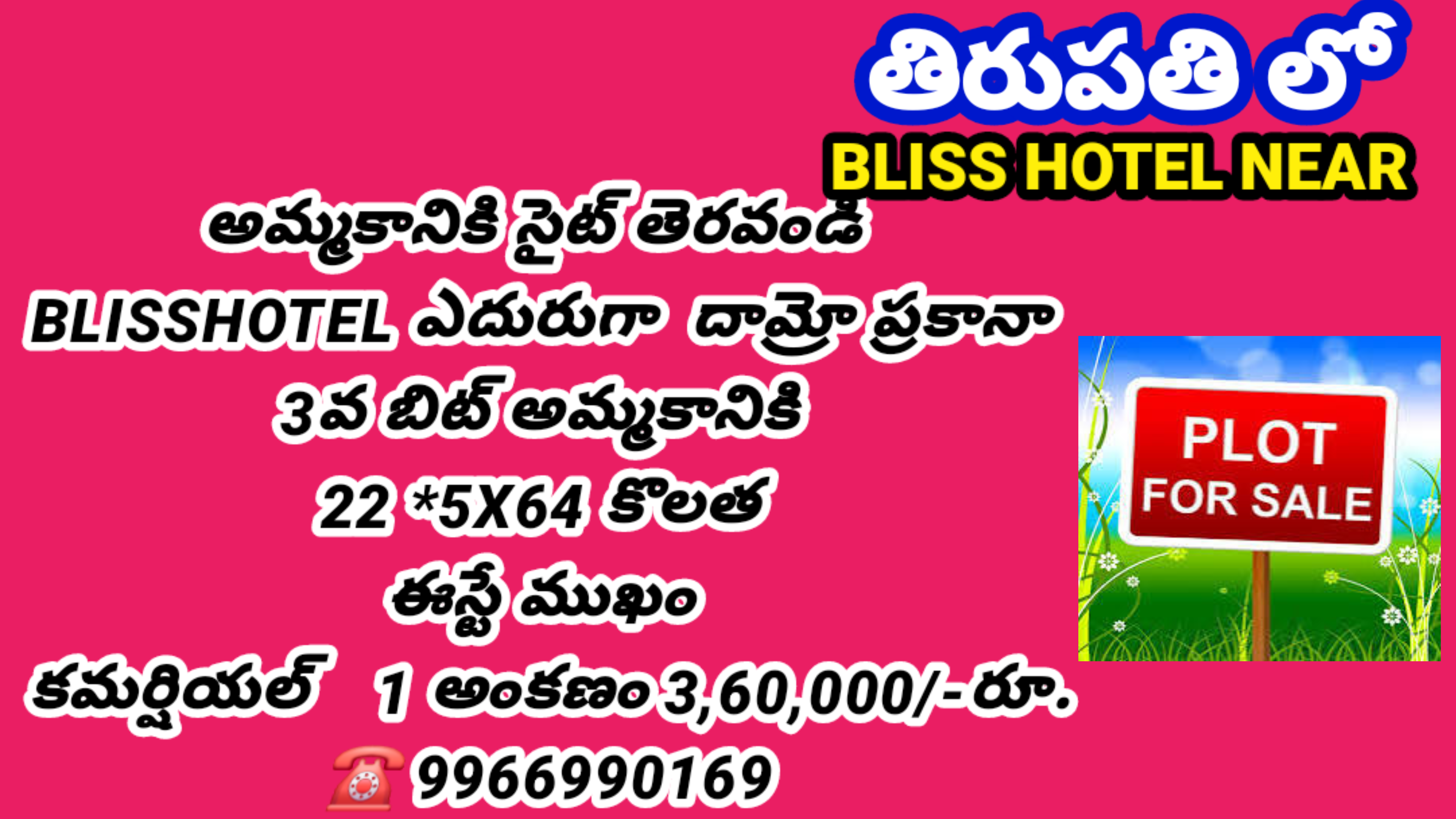 Additional Listing Image