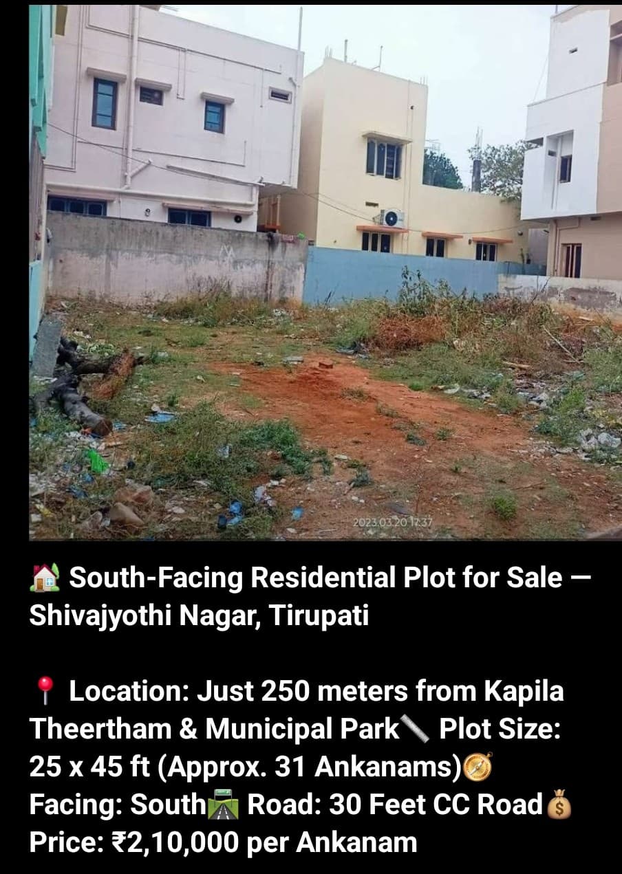 Additional Listing Image
