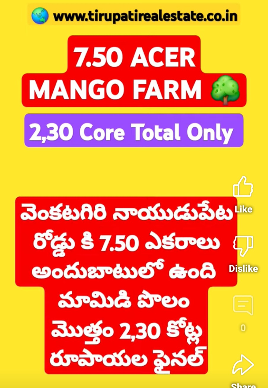 Additional Listing Image