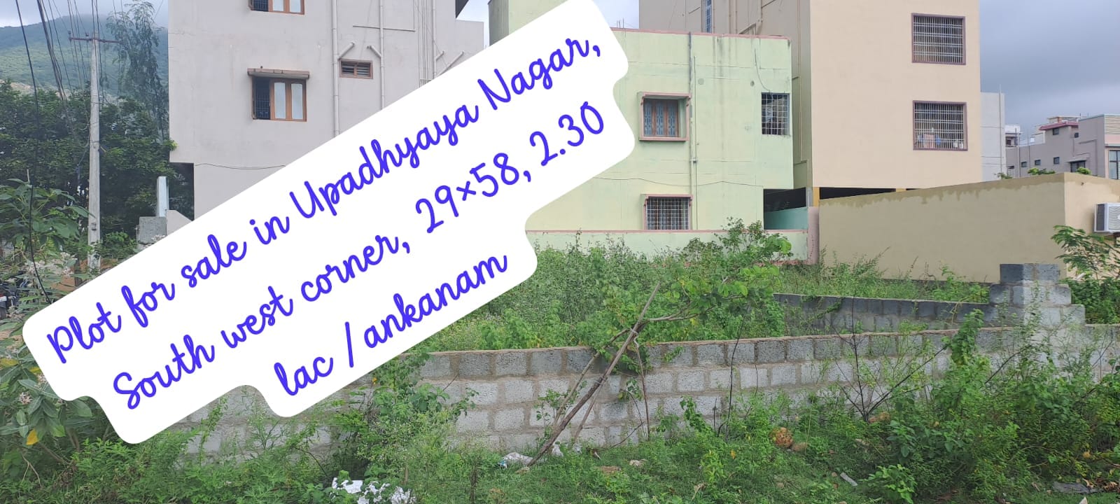 Additional Listing Image